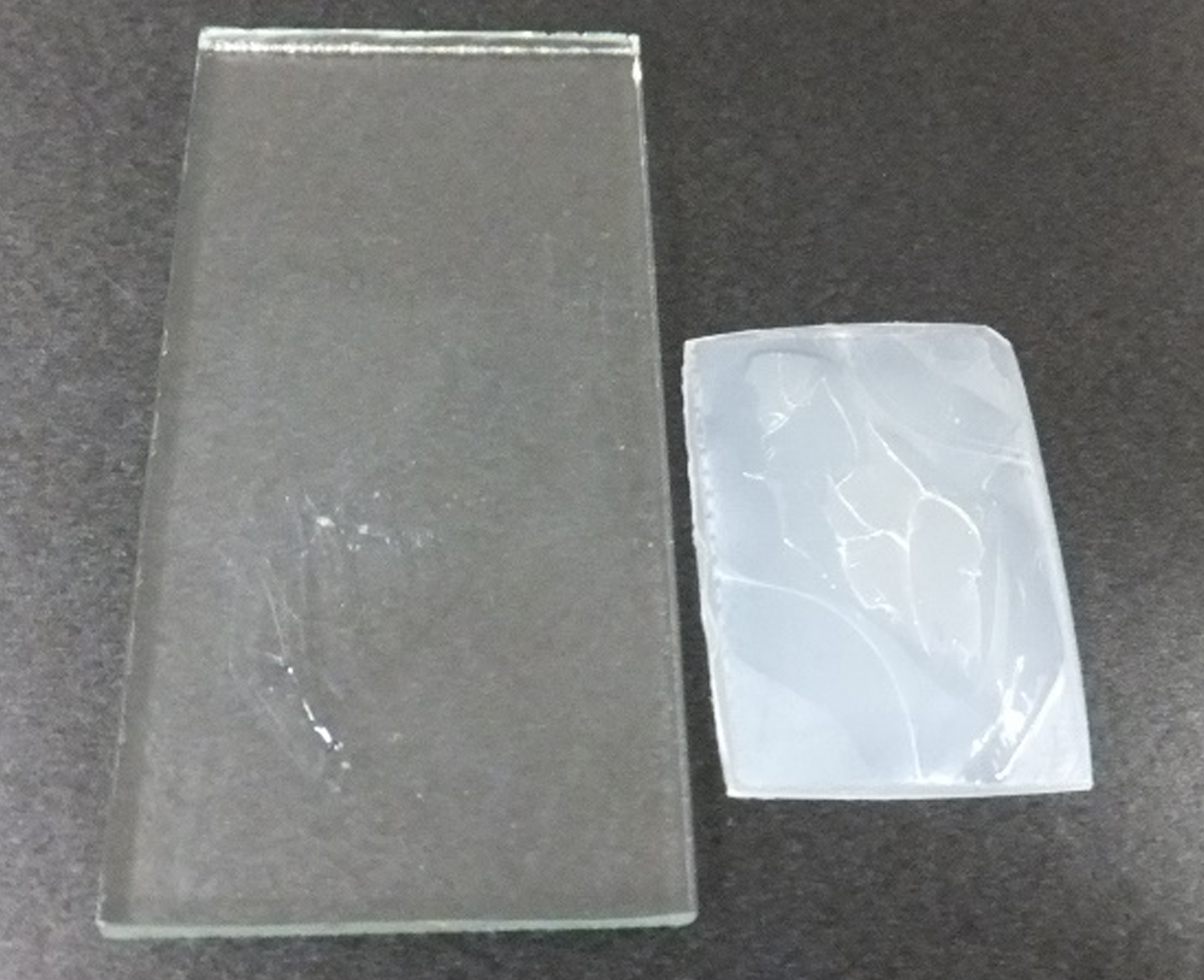Glass / PP